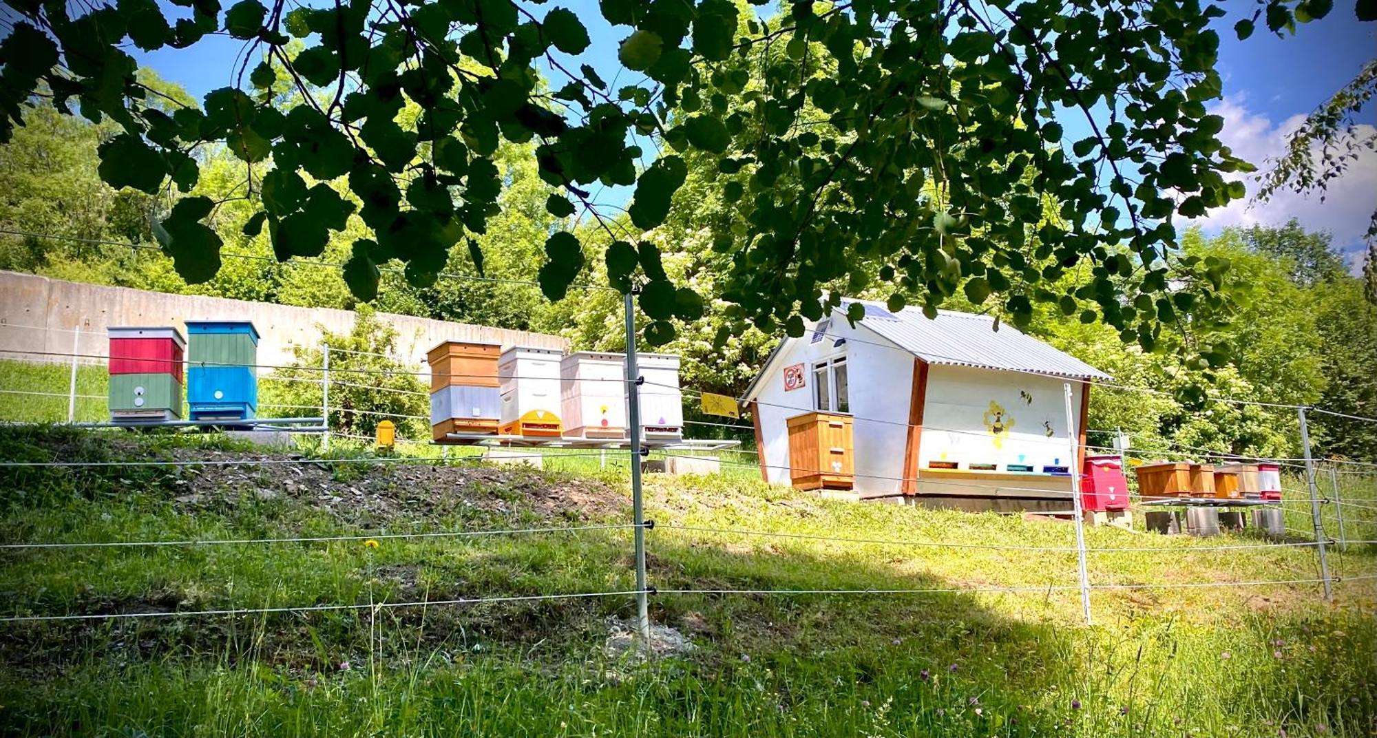 Apartmany Svrcinky Liptovský Mikuláš 外观 照片